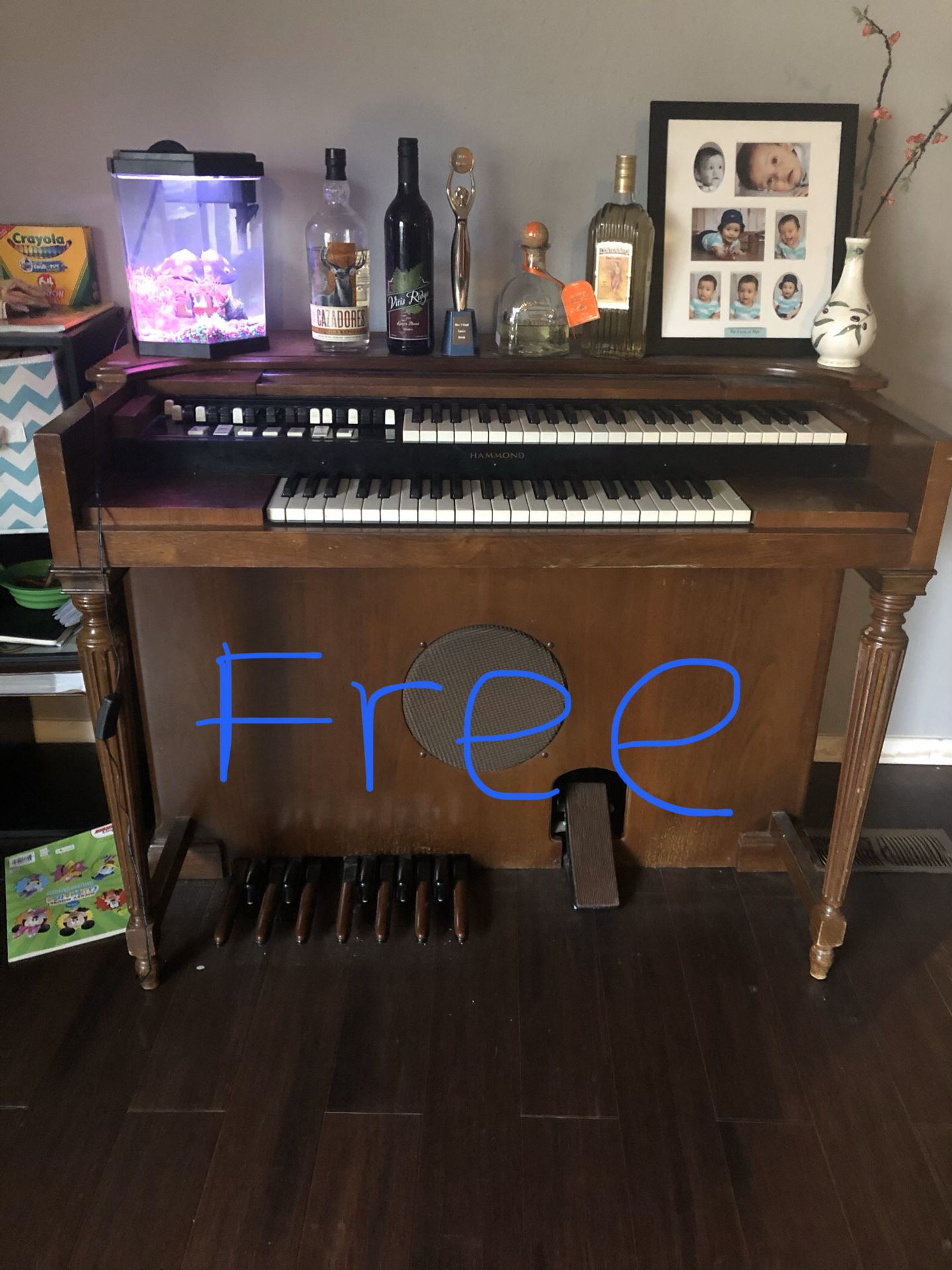 Free piano organ