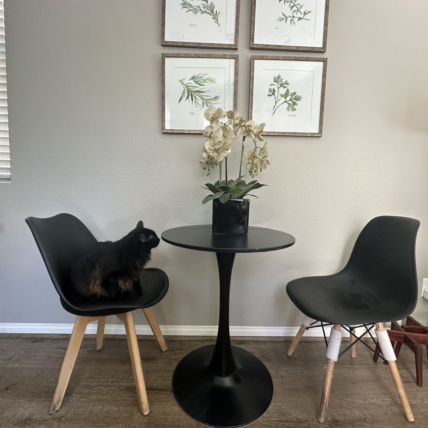 Black table and 2 Black Chairs