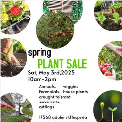 Plant sale