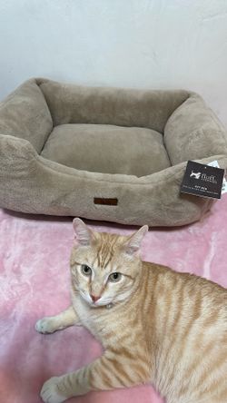 Pet Bed 