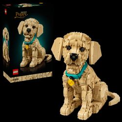 LEGO Icons Golden Retriever Puppy Set 11384