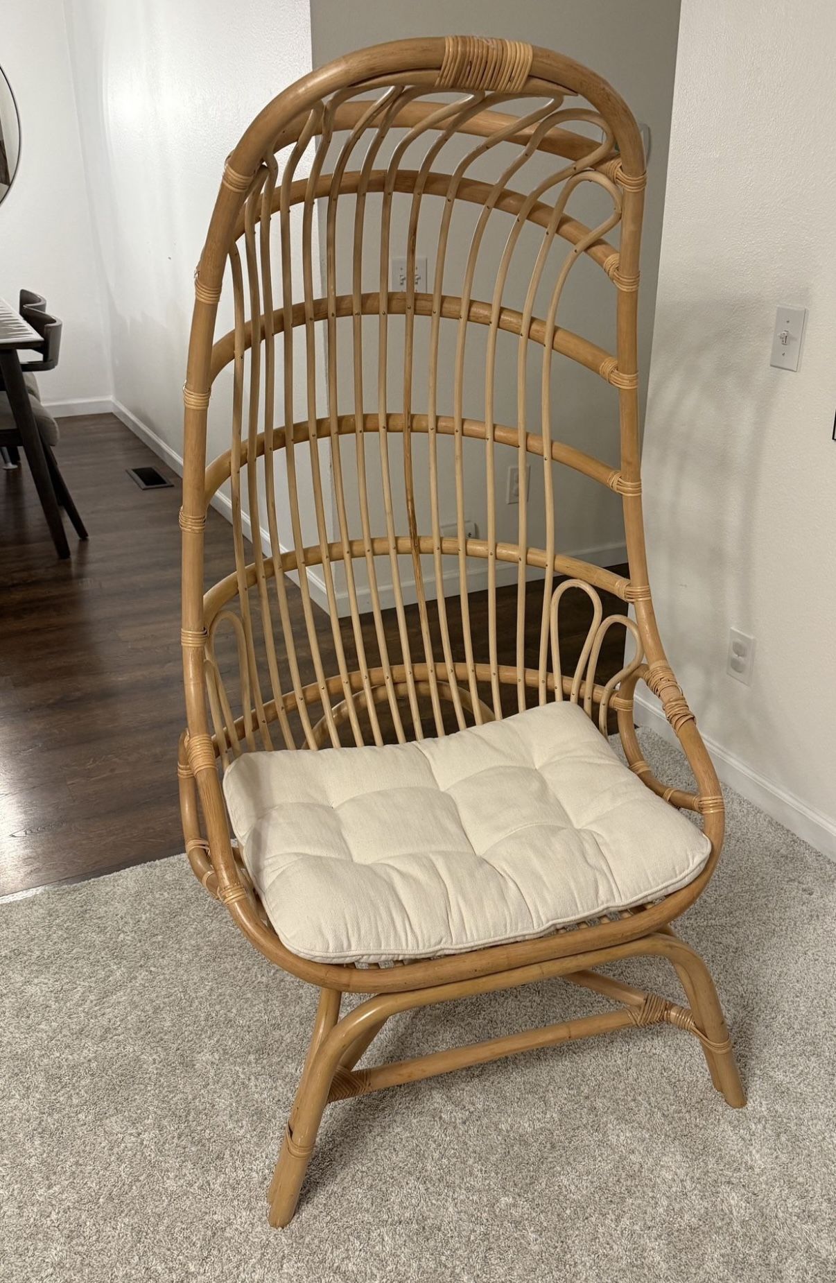 World Market Cocoon Chair 