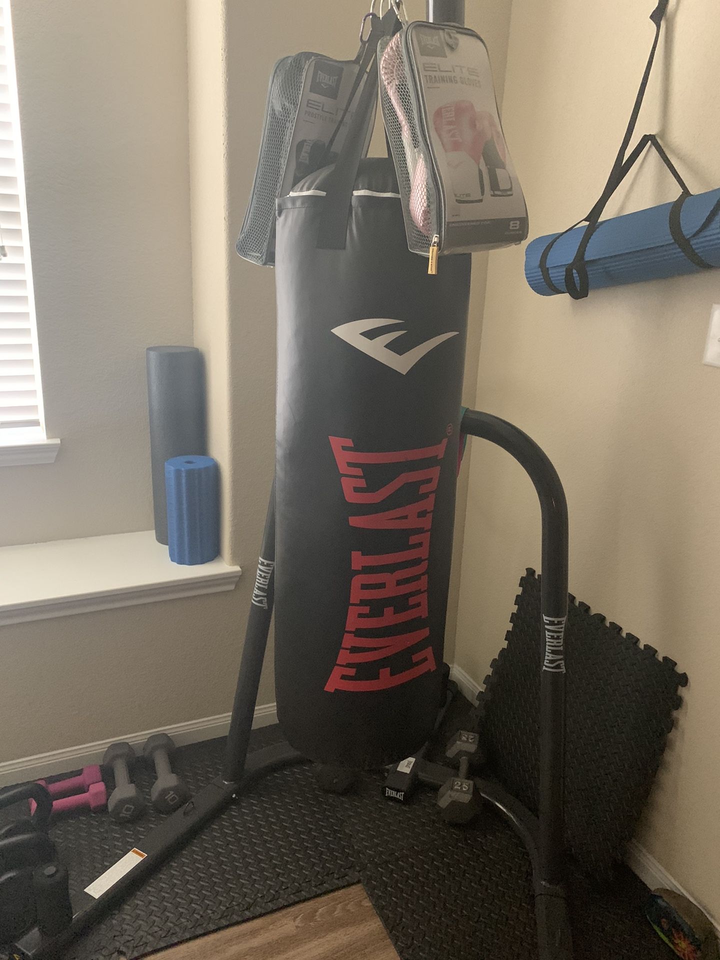 Everlast punching bag and gloves!