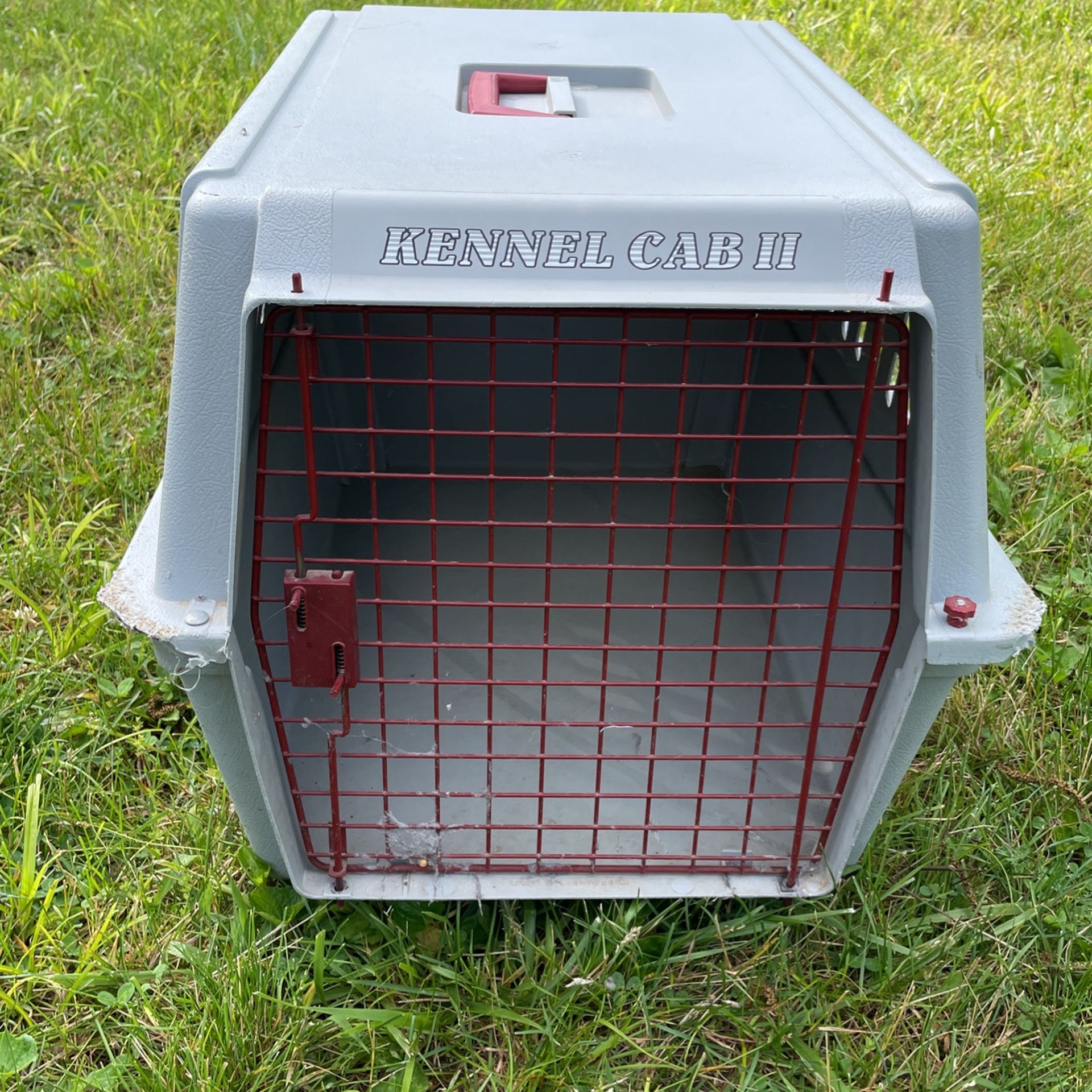 Cat Carrier 
