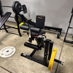 Leg Extension & Hamstring Curl