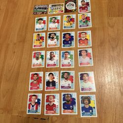 Panini Fifa World Cup Stickers 