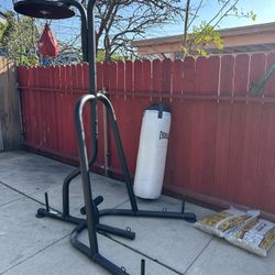 Everlast 70lb Heavy Bag, Speed Bag, Stand