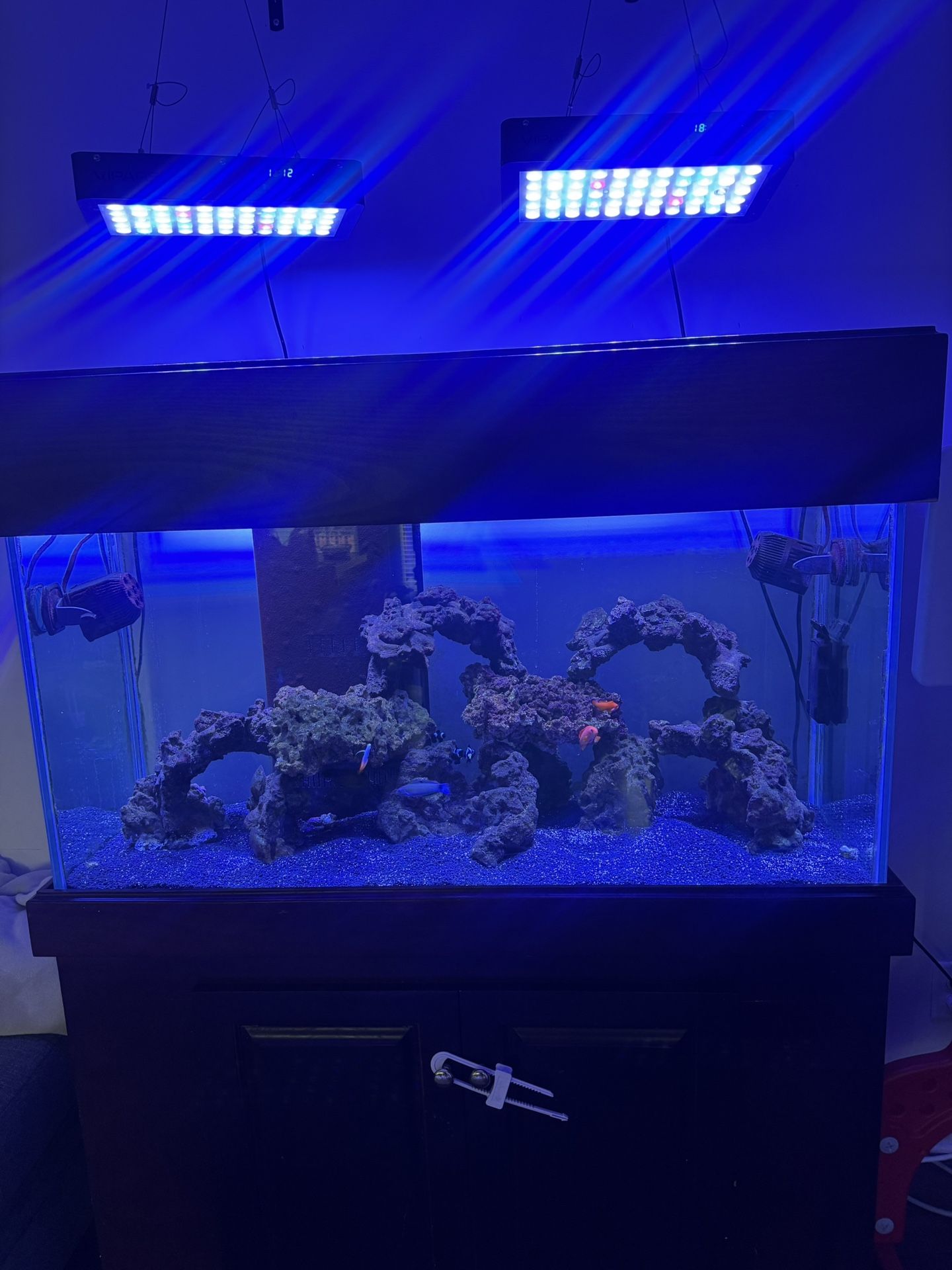 90 Gal Aquarium