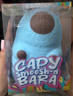 capybara squishy