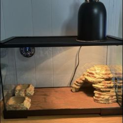 Reptile 10 G Tank