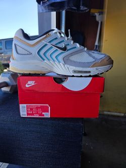 Nike Pegasus- men's 12