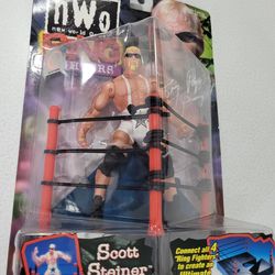 WCW nWo Scott Steiner Toy Biz Ring Fighters 1999 Brothers WWE WWF Big Poppa Pump