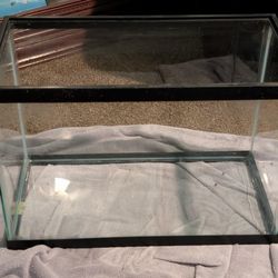 20 Gallon Aquarium