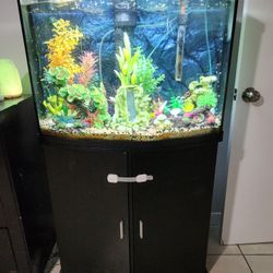 Aquarium 36 Gallon