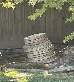 12 large Stepping Stones