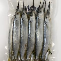 It’s going to be a great weekend, so get out on the water. Need Bait? Come Buy & Save $$$