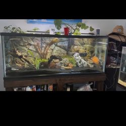 125 Gallons Tank and Stand 