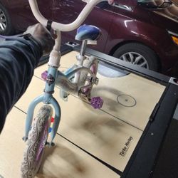 Girls Bike, No Training Wheels.