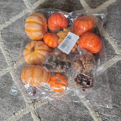 Fall Harvest Halloween Thanksgiving Decorations Crafts 