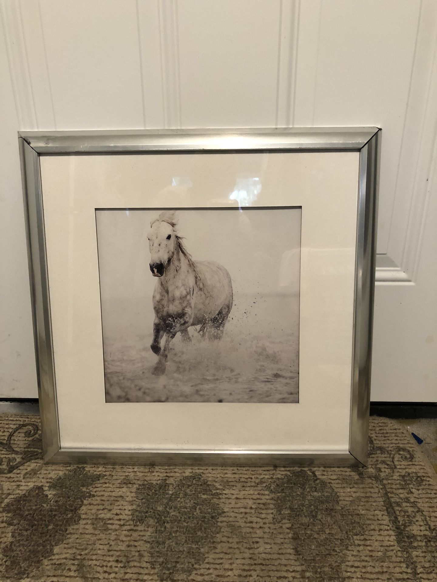 Horse Framing