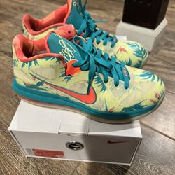 Lebron 9 Low “Lebronald Palmer”