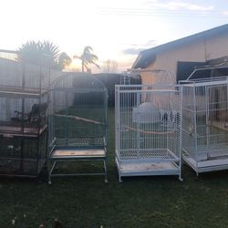 California Cages For Big Parrots
