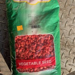 5lb Bag Silver Queen Sweet Corn See
