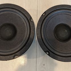 6.5" Woofers From a Pair of Baby Advent Speakers