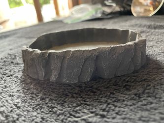 Reptile Bowl
