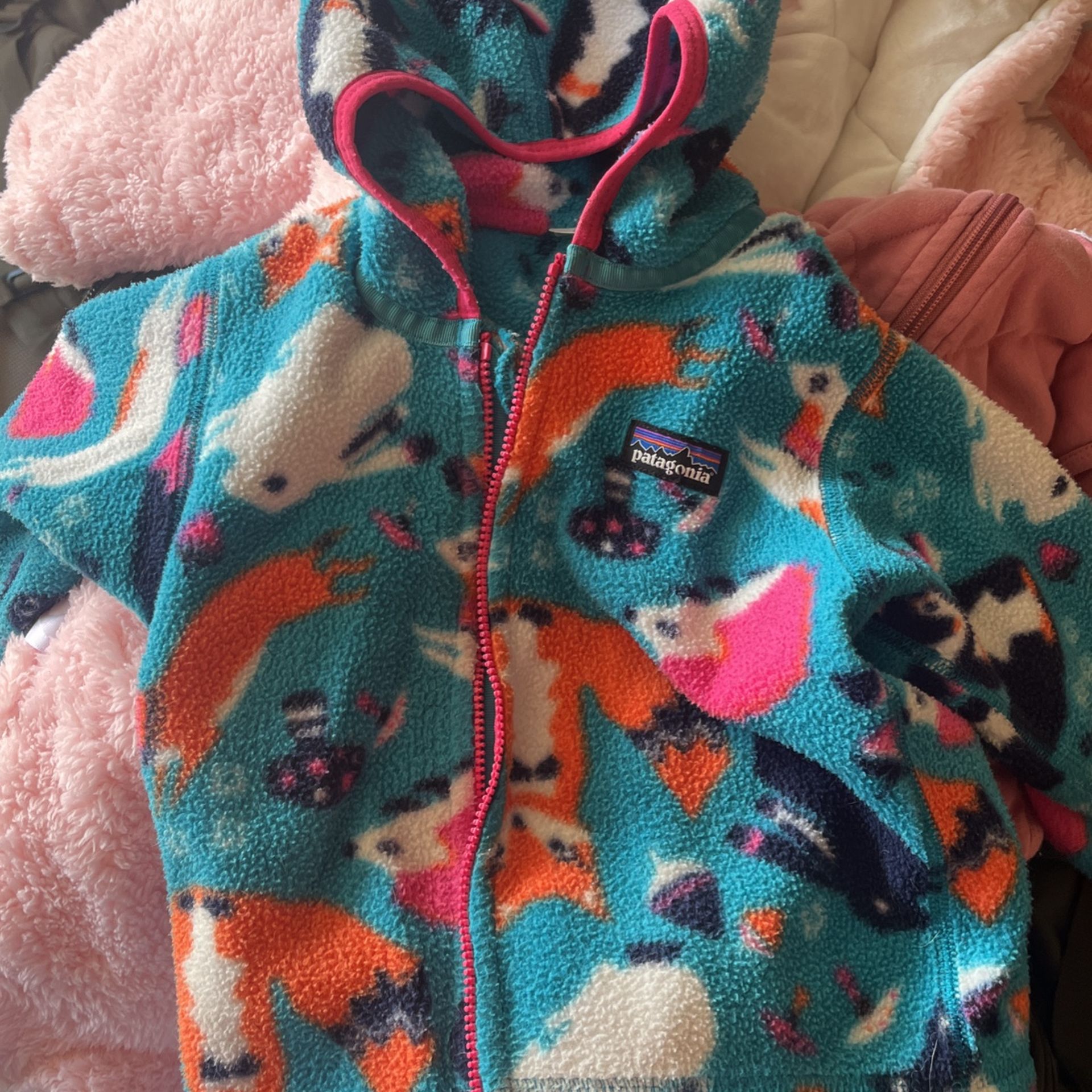 Patagonia Sweater/vest