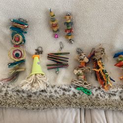 Lightly Used Parrot Toys