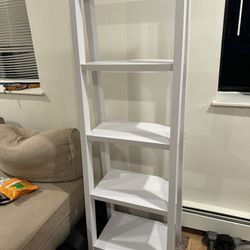 Ladder Bookshelf 