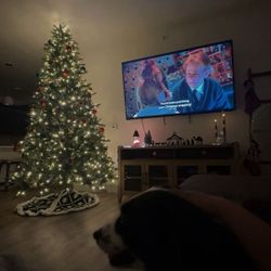 Augusta Pine Pre-Lit Christmas Tree