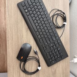 Lenovo Keyboard and Mouse