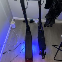 Electric Scooters 