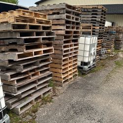 Skids / Pallets 