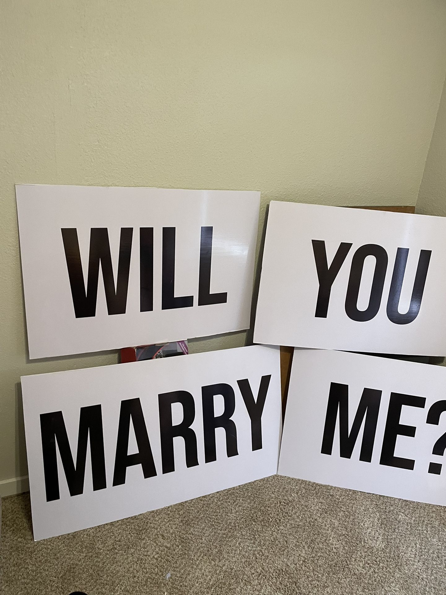 marriage proposal signs