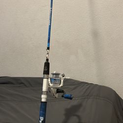 Fishing Rod 