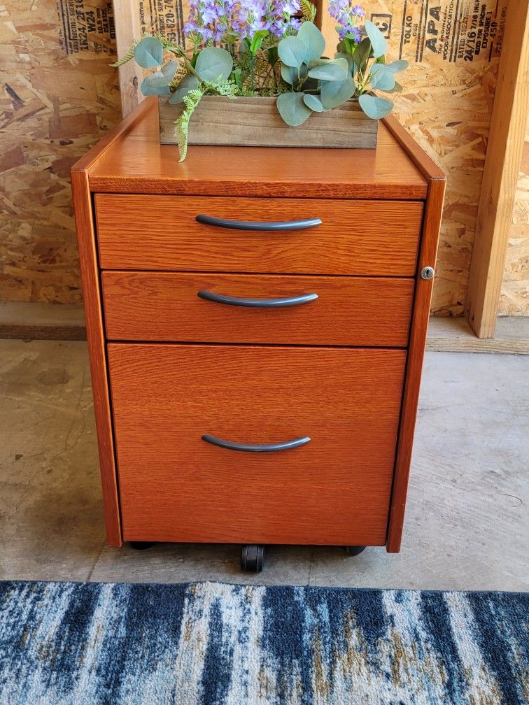 Beautiful ORGANIZER/ FILE CABINET