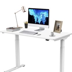 FLEXISPOT EC9 Essential Quick Install Standing Desk Electric Height Adjustable Desk 48 x 24 Inches Whole-Piece Desk Board Sit Stand Desk for Home Offi