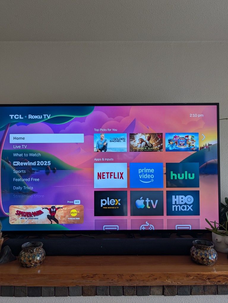 49 Inch Roku TLC 4K LCD TV