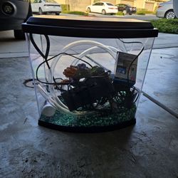 2.5 Gallon Fish Tank With Divider 