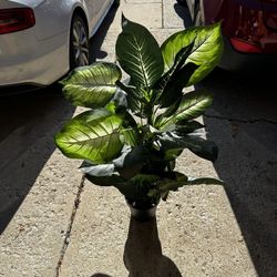 Fake Plant 4ft