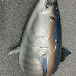 Tuna Mount