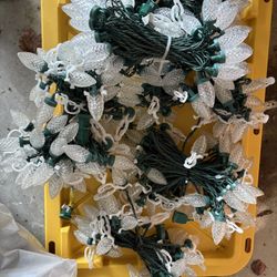 C9 Outdoor Christmas Lights