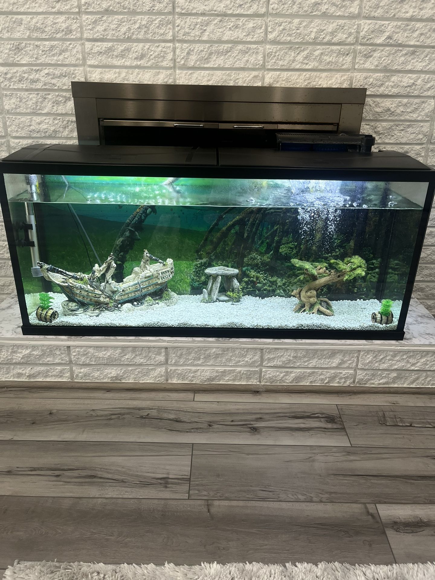 55 Gallon Fish Tank Comes With Everything
