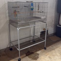 Bird Cage 