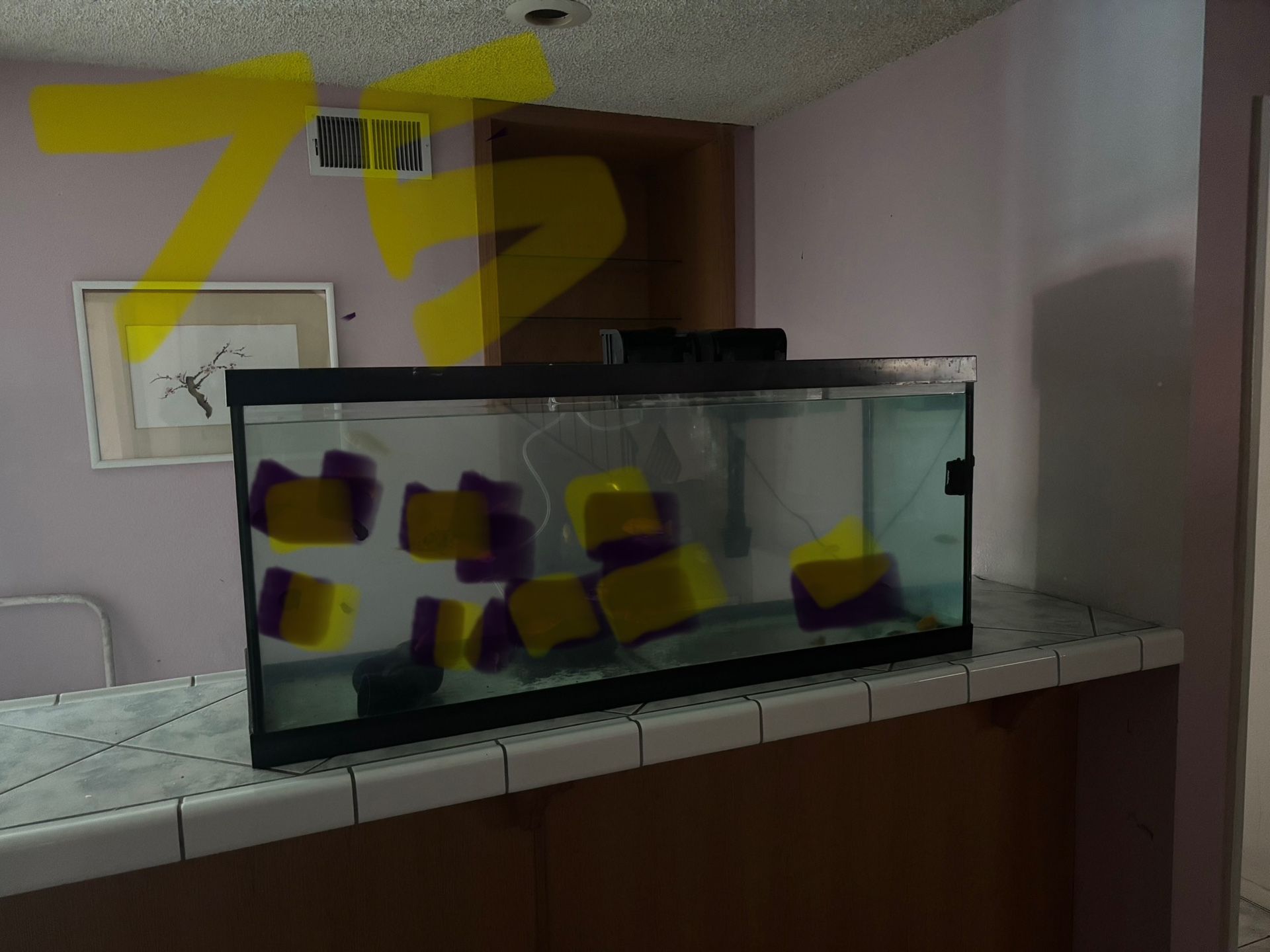 Fish Tank 75 Gallon.