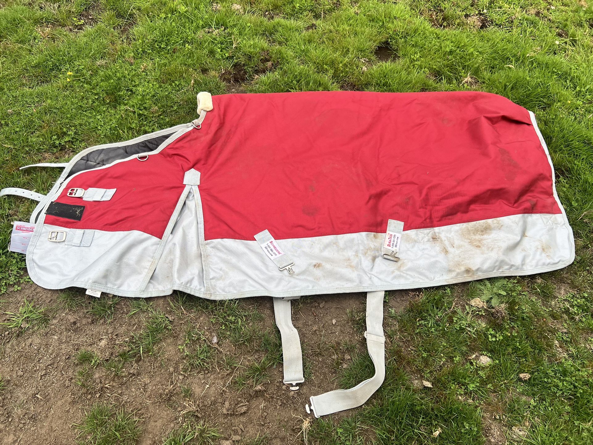 Heavy Weight Turnout Blanket 70 Red, Schneiders