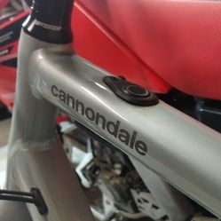 Cannondale E-bike
